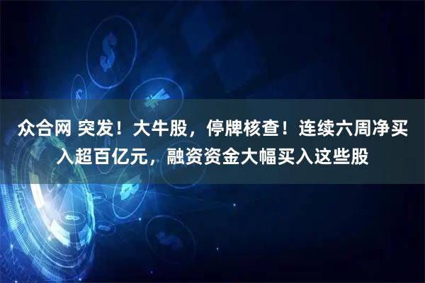 众合网 突发！大牛股，停牌核查！连续六周净买入超百亿元，融资资金大幅买入这些股