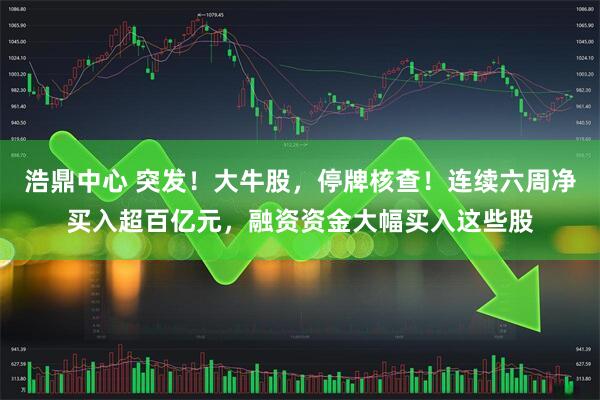 浩鼎中心 突发！大牛股，停牌核查！连续六周净买入超百亿元，融资资金大幅买入这些股