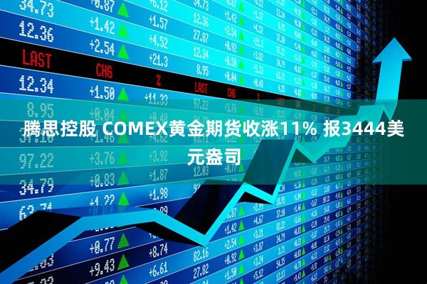 腾思控股 COMEX黄金期货收涨11% 报3444美元盎司